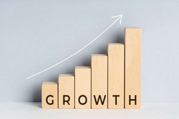 Holzblöcke als Diagramm mit dem Wort GROWTH